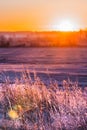 Frosty autumn morning. Western Siberia Royalty Free Stock Photo