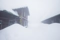 Frosty cloudy day in mountain spruce forest. Snowy trees in the snowstorm. Cinematic shot of an intense blizzard. Christmas Royalty Free Stock Photo