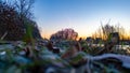 Frosty Dawn: Ground Perspective of a Winter Sunrise Royalty Free Stock Photo