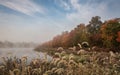 Frosty Fall morning on the marsh as fog rises