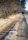 Frosty farm road in South Africa in the morning Royalty Free Stock Photo