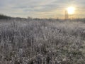Frosty February sunrise Wickford country park III