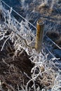 Frosty Fence Royalty Free Stock Photo