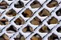 Frosty fence - winter texture Royalty Free Stock Photo