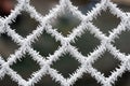 Frosty fence - winter texture Royalty Free Stock Photo