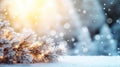 Frosty Festivities Christmas Winter Blurred Background with Snow-Decorated Xmas Tree and Garland Lights - Holiday Festive Royalty Free Stock Photo