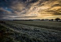 Frosty field