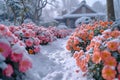 Frosty flowerbeds Delicate winter blooms cared for in snowy garden