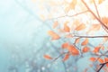 Frosty Foliage: A Stunning Autumn Display on Frosted Branches