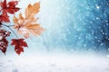 Frosty Foliage: Stunning Winter Wallpaper Backgrounds to Brighten Your Screen