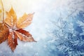 Frosty Foliage: Stunning Winter Wallpaper Backgrounds to Brighten Your Screen