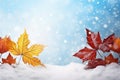 Frosty Foliage: Stunning Winter Wallpaper Backgrounds to Brighten Your Screen