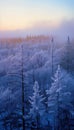 Frosty Forest: A Winter Wonderland of Business Supplies and Natu