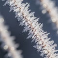 Frosty formations create a spiky appearance with each crystallin Royalty Free Stock Photo