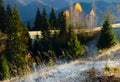 Frosty frost on the grass and the last yellow trees on the mountain slopes. frosty fresh morning in the mountains. S Royalty Free Stock Photo