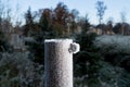 Frosty garden post, green natural environment background. Royalty Free Stock Photo