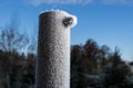 Frosty garden post, green natural environment background. Royalty Free Stock Photo