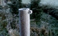 Frosty garden post, green natural environment background. Royalty Free Stock Photo