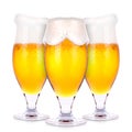 Frosty glasses of light beer isolated