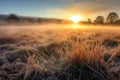 frosty grass field with sun rays breaking through fog