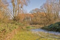 Frosty hiking trail through a sunny winter forest in the flemish countryside