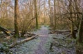 Frosty hiking trail through a winter forest in the flemish countryside