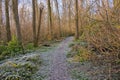 Frosty hiking trail through a winter forest in the flemish countryside