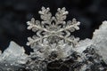 Frosty Intricacies: Macro Snowflake Portrait.