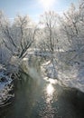 Frosty Iowa Morning