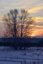 Frosty January sunset