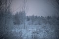 Frosty landscape. Evening in winter. Forest with frozen branches Royalty Free Stock Photo