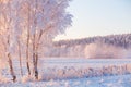 Frosty landscape. Winter morning with beautiful white trees covered by frost.