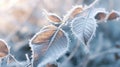 Frosty leaves on a plant in the winter, AI