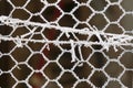 Frosty mesh Royalty Free Stock Photo