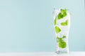 Frosty mint lemonade with green leaf, ice cubes and mineral water in elegant glass on white wood table, mint color wall.