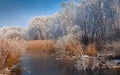 Frosty misty morning on the rive Royalty Free Stock Photo