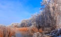 Frosty misty morning on the rive Royalty Free Stock Photo