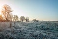 A frosty morning begins with sunrise, the grass is covered with white frost in the early morning. Transition from autumn