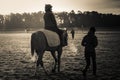 Frosty Morning At the Break of Dawn Royalty Free Stock Photo