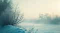 Frosty morning landscape with icy plants in winter Royalty Free Stock Photo