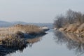 Frosty Morning in the Marsh