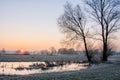 Frosty Morning Royalty Free Stock Photo