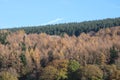 Frosty morning on the mountain of the Cynon Valley