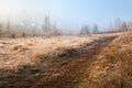 Frosty morning he mountain village, re trees and hoarfrost on the meadow, houses in fog. Royalty Free Stock Photo