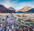 Frosty morning scene of Obersee lake valley with Brunnelistock peak. Fanrastic autumn view of Swiss Alps, Nafels village location, Royalty Free Stock Photo
