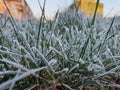 A Frosty Morning.