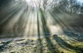 A frosty morning and stream with sunlight and rays shining through the trees covered in winter morning mist Royalty Free Stock Photo