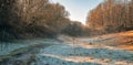 A frosty morning and stream with sunlight and rays shining through the trees covered in winter morning mist, Cotswolds, UK Royalty Free Stock Photo