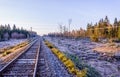 Frosty morning sunrise at the traintracks leading into the unknown distance Royalty Free Stock Photo
