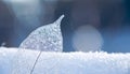 Frosty natural pattern on frozen ice, shallow depth of field